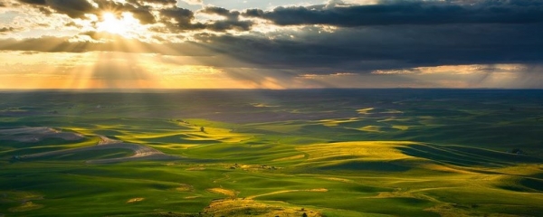 Golden Rays Over Palouse - Zack Schnepf - 24454083